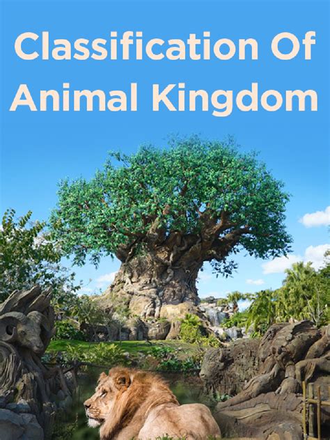 Download Classification Of Animal Kingdom PDF Online - 2020
