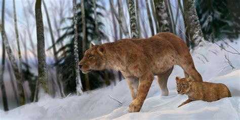 Eurasian Cave Lion Sciifii Novum Terram Wiki Fandom