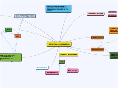 Genetica Mendeliana Mapa Mental Arbol