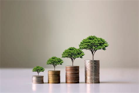 Aponte A Relação Entre Consumo Exagerado E Meio Ambiente
