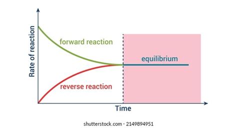 Chemical Equilibrium Graph Diagram Vector Illustration Stock Vector