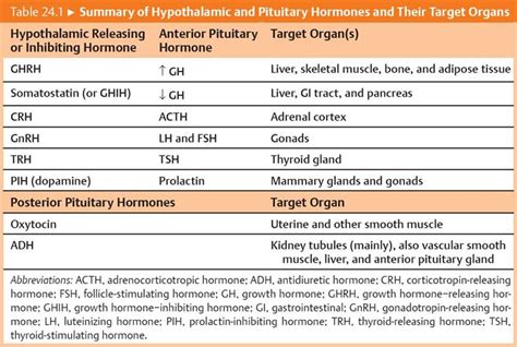 The Pituitary Gland Physiology An Illustrated Review