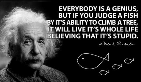 Albert Einstein Everybody Is A Genius But If You Judge A Fish 9buz
