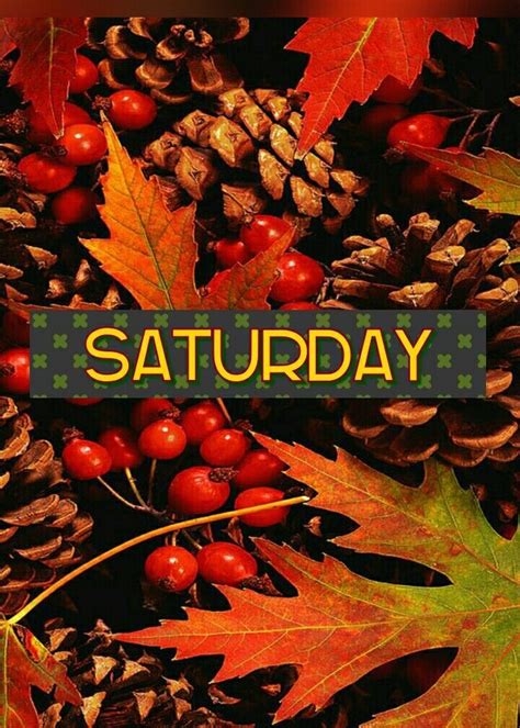 The Words Saturday Are Surrounded By Autumn Leaves And Pineconuts With