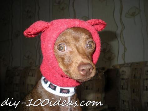 Dog Hat From Sock Diy 100 Ideas