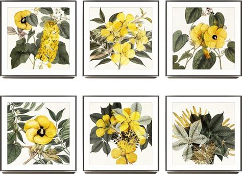 Yellow Botanical Prints Perfect For Arranging Solo Or In A Grid