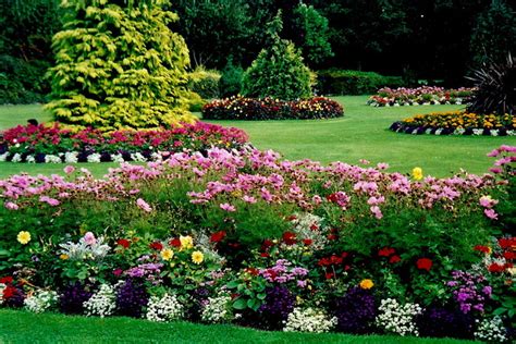 How to design the perfect landscape | landscape design 101. Do-It-Yourself Landscaping guide