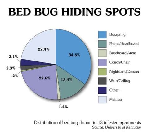How To Prevent Bed Bugs Geektick