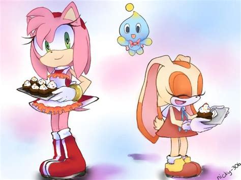 Baking Sweets By Nicky 306 On Deviantart Amy Rose Amy The Hedgehog