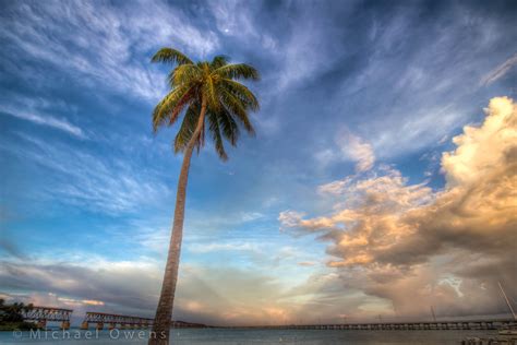 Wallpaper Sky Cloud Woody Plant Sea Palm Tree Arecales Horizon