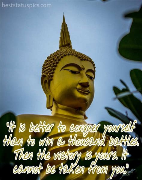 Thanks for checking out this list of brilliant buddha quotes on peace, life and happiness. Buddha Quotes On Life With Images | Best Status Pics
