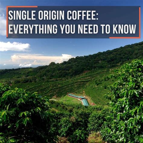 Single Origin Coffee Everything You Need To Know