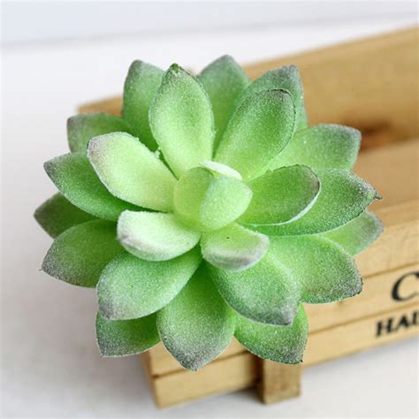 Mini Artificial Succulent Plants For Home Decoration Green Plastic Faux