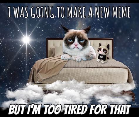 Grumpy Is Too Tired To Make A New Meme 😴 Funny Grumpy Cat Memes Funny