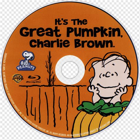DVD de disco Blu ray de grandes amendoins de abóbora Estados Unidos é a grande abóbora Charlie