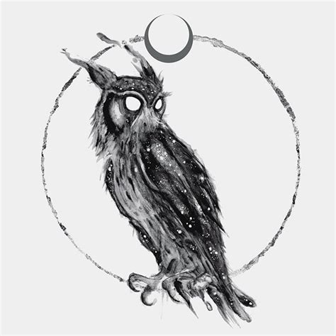 Brian Serway Bserway • Instagram Photos And Videos Owls Drawing