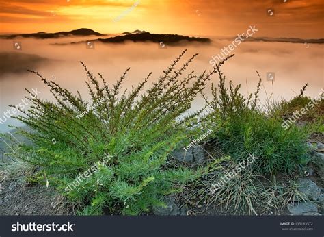 Morning Awakening Landscape Hills Mist Stock Photo 135183572 Shutterstock