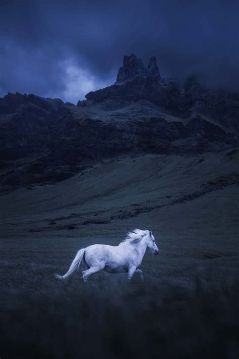Iceland Wild Horses Fine Art Photography By Andrew