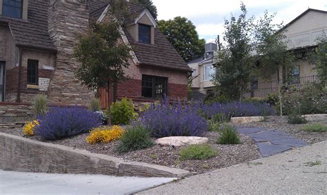 Drought Tolerant Front Yard Landscaping Ideas To Make Your Home A