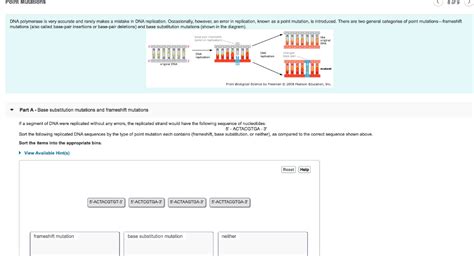 Base Substitution Mutations And Frameshift Mutations Masteringbiology