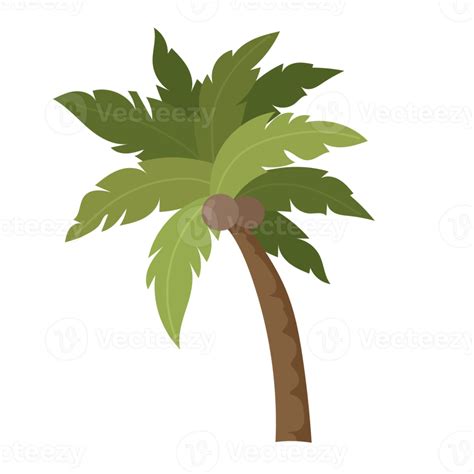 Dibujos Animados De Palmera 8481499 Png