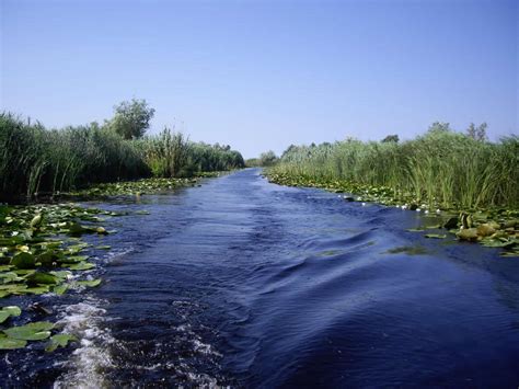 Sulina nu este legată direct de rețeaua de drumuri din românia și poate fi atinsă numai pe calea apelor, fie pe dunăre , fie pe marea neagră. Vila Alga Sulina - Delta Dunarii