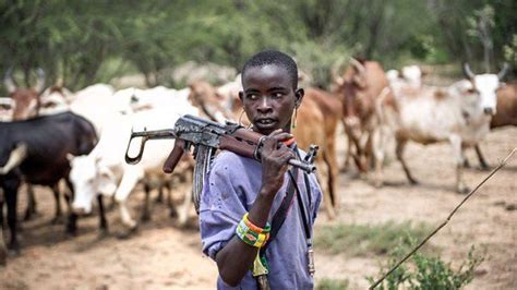 Facts About The Fulani Herdsmen And Their Attacks