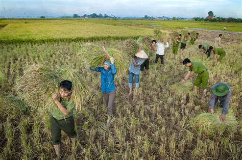 Không ngừng phấn đấu, nỗ lực đổi mới, tạo động lực mới cho sự phát triển mạnh mẽ của các tòa án trong tương lai. Xây dựng lực lượng công an nhân dân theo hướng "Bộ tinh ...