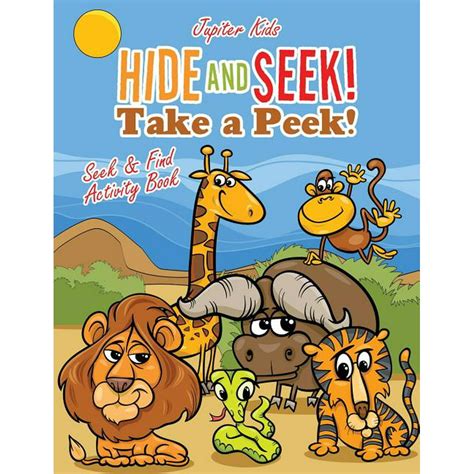 Hide And Seek Take A Peek Seek And Find Activity Book Paperback