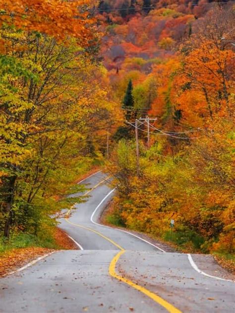 Take A Fall Foliage Road Trip On Route 100 In Vermont Vermont Explored