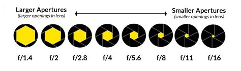 What Is Aperture In Photography Beginners Guide