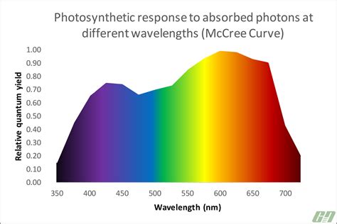 Red light helps plants grow flowers. Why LED? - Grow Lights Australia