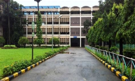 Iit Bombay Records Highest Most Lucrative Placements This Year Hong