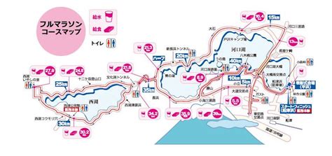 If you have not climbed mt. Mt. Fuji International Marathon | World's Marathons