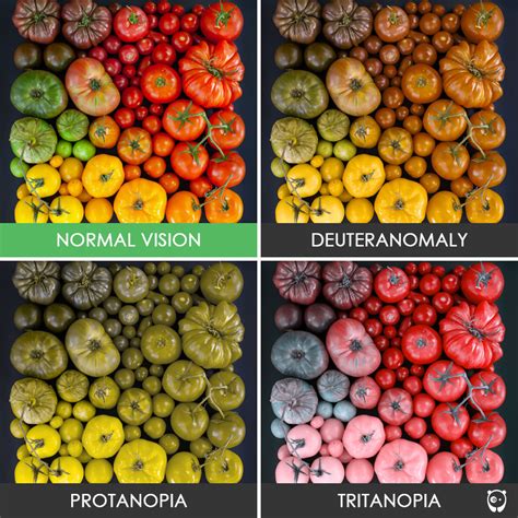Midtown Optometry Different Types Of Color Blindness And Distinguishing Them