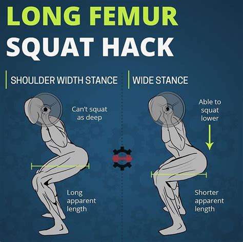 Long Femur Squat Hack Guide