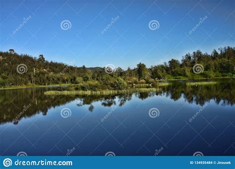 Quiet Forest Lake In Finland Stock Photo Image Of Reflection Forest