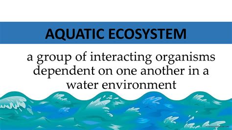Solution Aquatic Ecosystem Studypool
