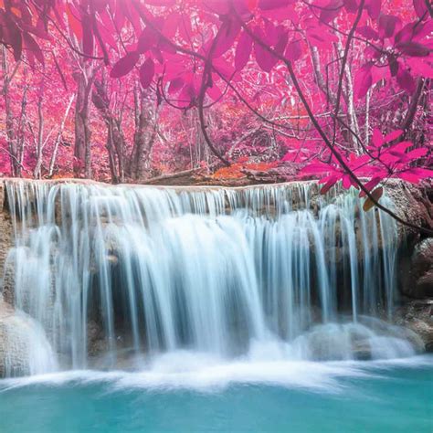 Waterfalls Wallpaper Pink Tree Wallpaper Foto Wall Etsy