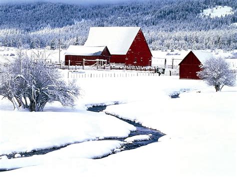 Red Wooden Barnhouse Winter Snow Snowdrifts Structures Stream