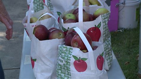 Arkansas Apple Festival Underway In Lincoln