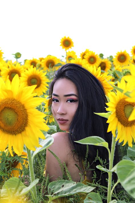 Sunflower field 🌻 | Sunflower field photography, Sunflower photography