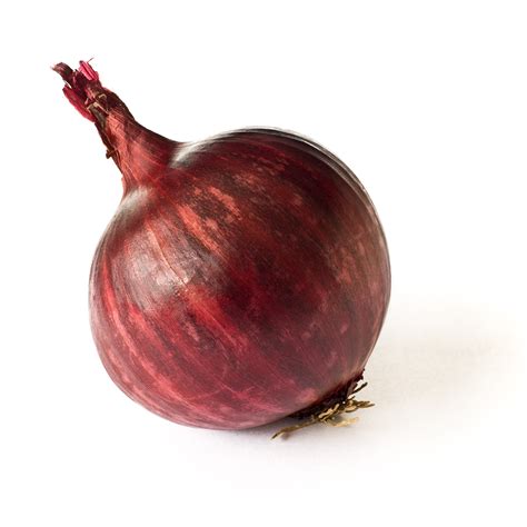 Filered Onion On White