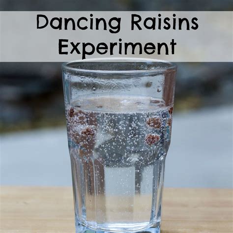 Dancing Raisins Experiment