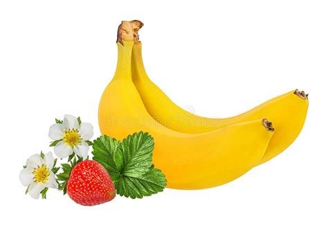 Bananas And Strawberries Isolated Stock Photo Image Of White Package