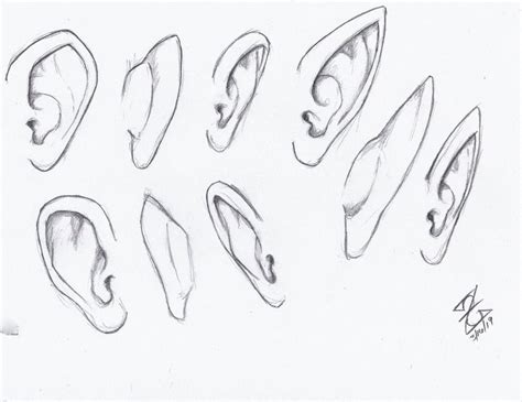 Shinzaia expressive elf ears are my weakness so i had to. Human and Elf Ears - Reference Drawing by Zerkcie on ...