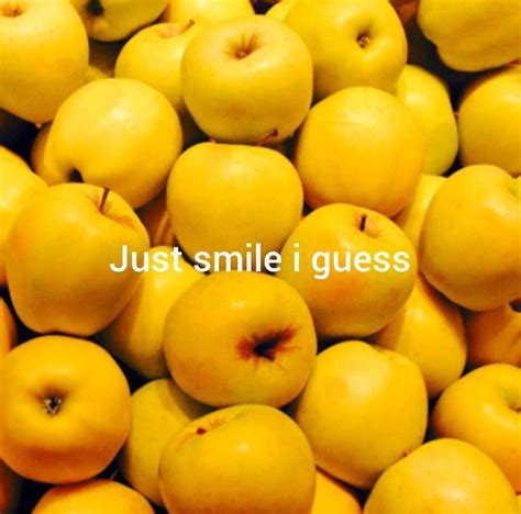 Mitosis Meiosis Inference Yellow Aesthetic Just Smile