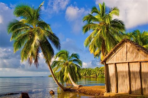 Tropical Landscape Hut Shore Breeze Bonito Sea Palm Trees Beach