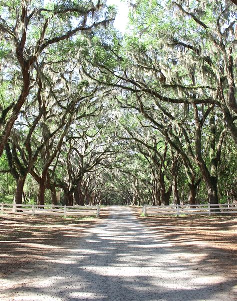 8 Reasons Why Savannah Is One of the Best Places to Travel in the U.S