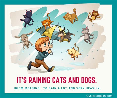 Read More Sentence Examples Of The Idiom Rain Cats And Dogs At